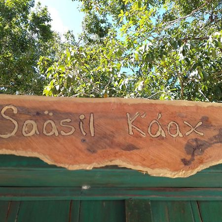 Saasil Kaax Villa Chemuyil Exterior foto