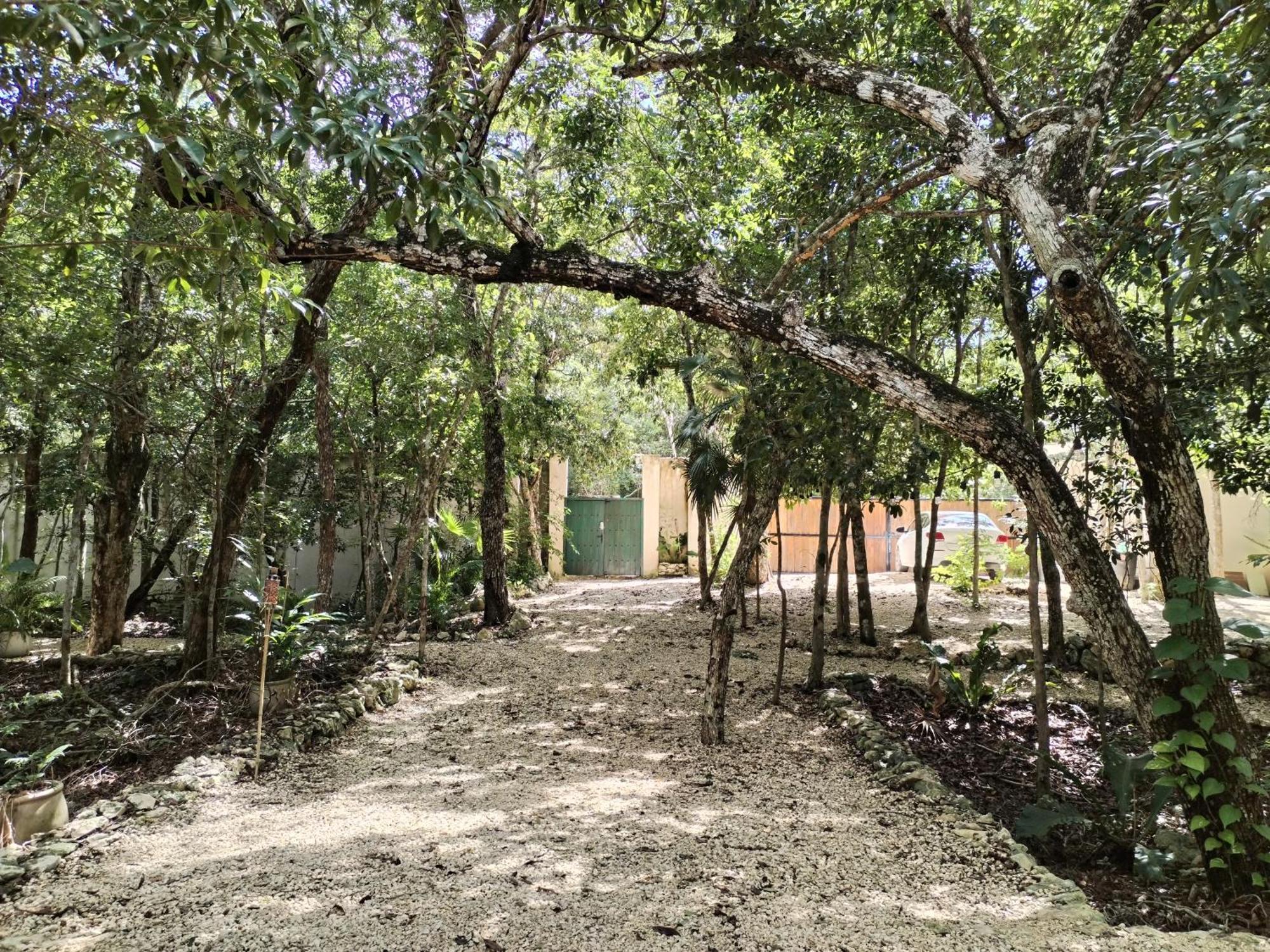 Saasil Kaax Villa Chemuyil Exterior foto